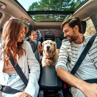 Family road trip